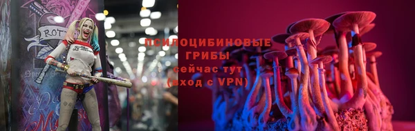 наркотики Алексин