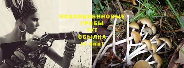 дмт Алексеевка